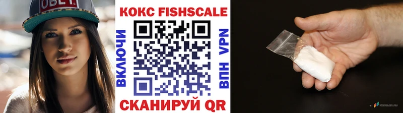 Купить Ершов Cocaine 99%