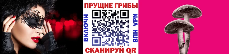Купить  Ершов  Псилоцибиновые грибы MAGIC MUSHROOMS 